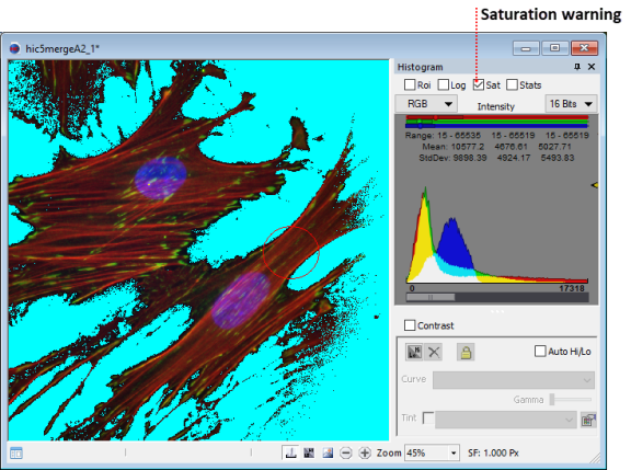 Intensity Histogram Example